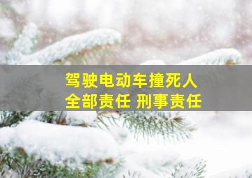 驾驶电动车撞死人 全部责任 刑事责任